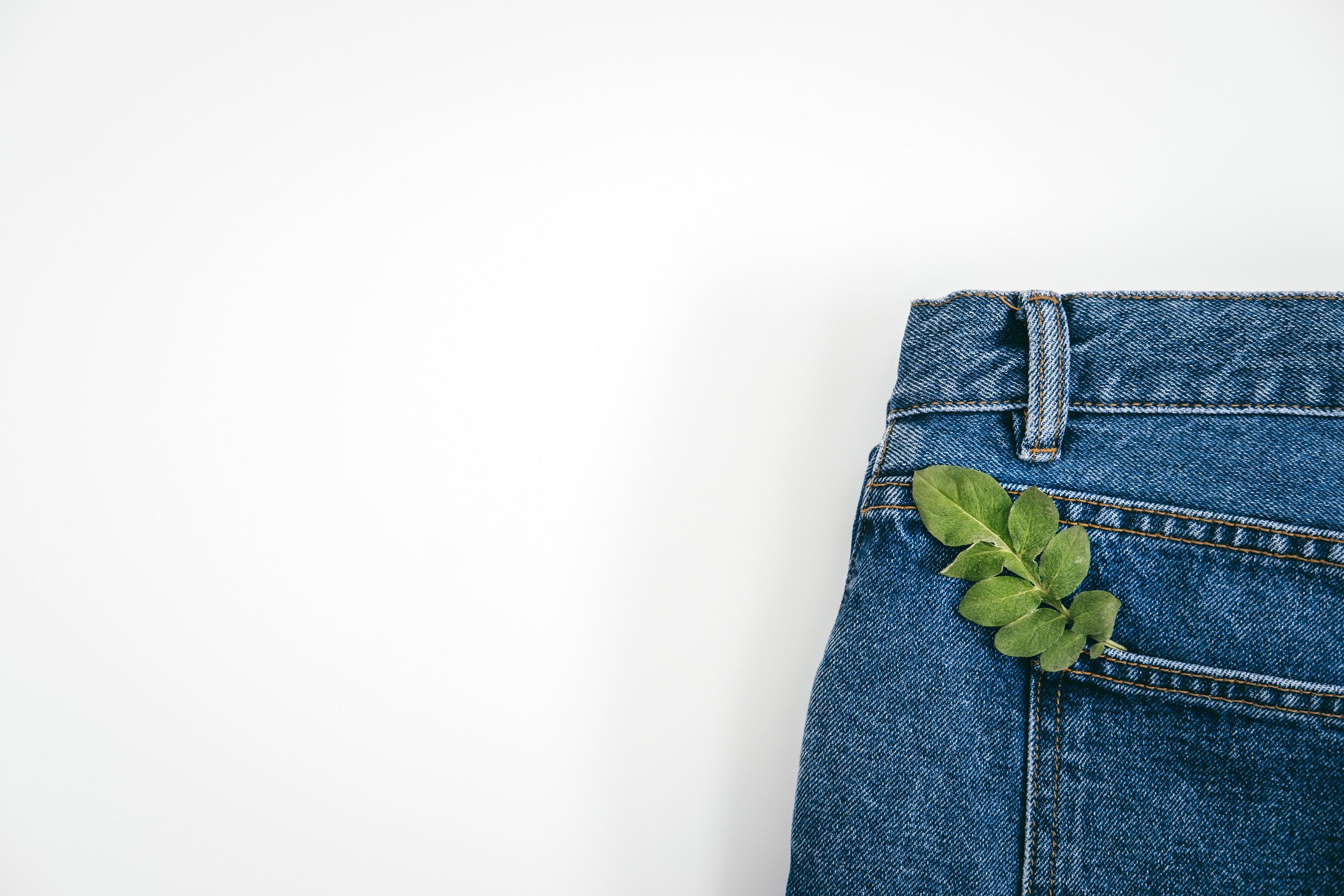 Sustainable Fashion, Circular Economy, Denim Eco Friendly Clothing. Green Leaf Plant on Blue Denim Jeans Background